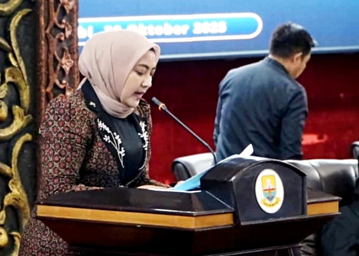 Anggota DPRD Provinsi Jambi, Ririn Novianty, Fraksi PAN