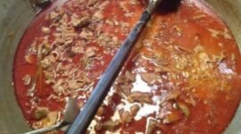 CREATOR: gd-jpeg v1.0 (using IJG JPEG v62), quality = 100?