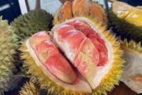 CREATOR: gd-jpeg v1.0 (using IJG JPEG v80), quality = 85?