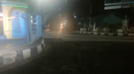 oplus_2
