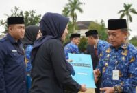 CREATOR: gd-jpeg v1.0 (using IJG JPEG v62), quality = 80?