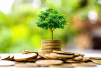 Small trees on a pile of gold coins and a natural green background. Money saving ideas.