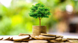 Small trees on a pile of gold coins and a natural green background. Money saving ideas.