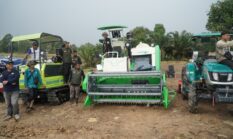 Produksi Padi Jambi Baru 71 Persen, Program Cetak Sawah Terus Digenjot