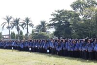 Oplus_131072