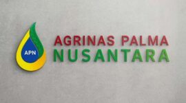 Lowongan Kerja BUMN PT Agrinas Palma Nusantara Juni 2026 untuk lulusan D3 hingga S1 dan fresh graduate.