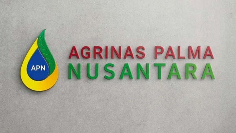 Lowongan Kerja BUMN PT Agrinas Palma Nusantara Juni 2026 untuk lulusan D3 hingga S1 dan fresh graduate.