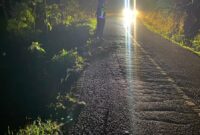 Oplus_131072