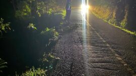 Oplus_131072